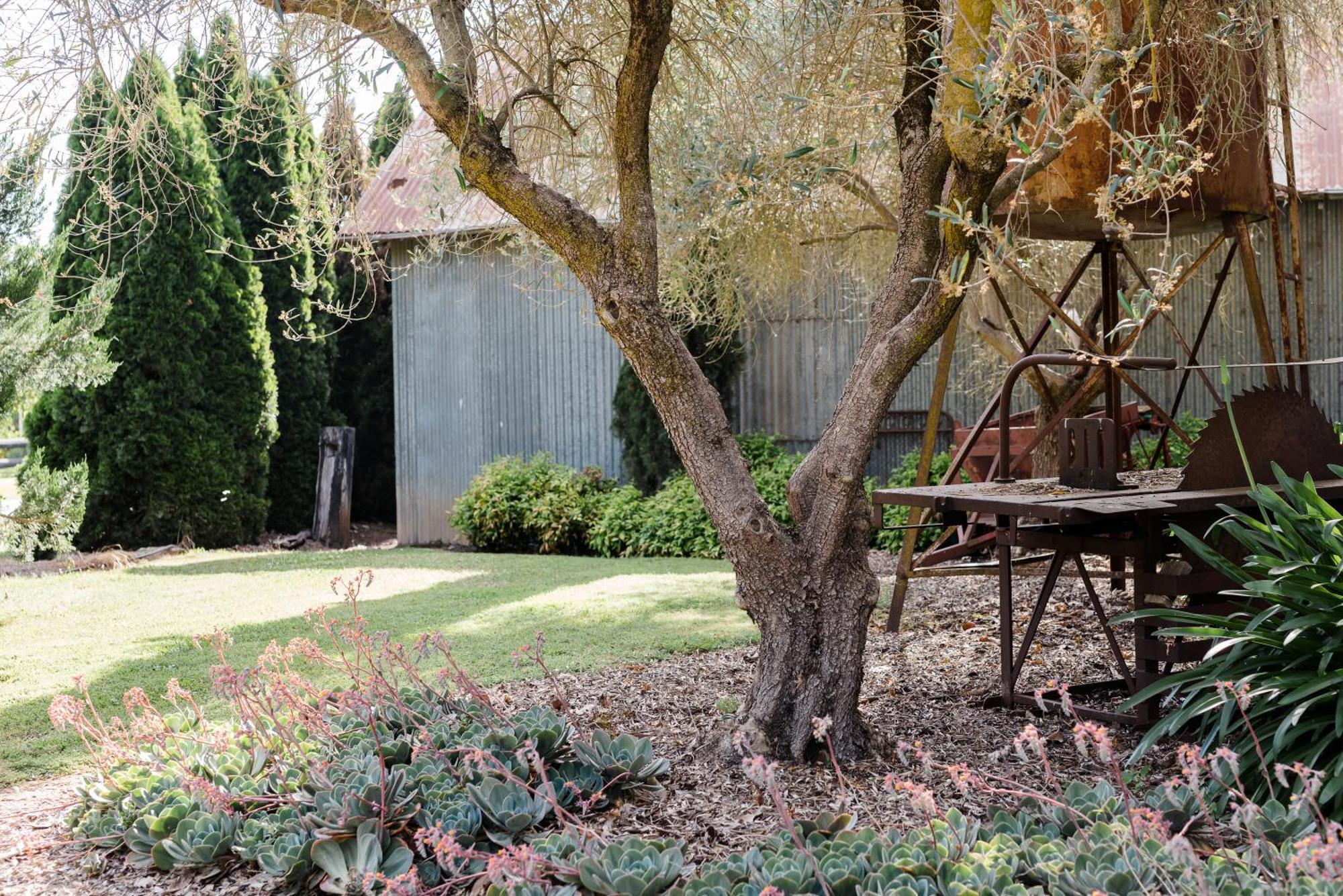 Walnut Tree Cottages Whorouly Exterior foto